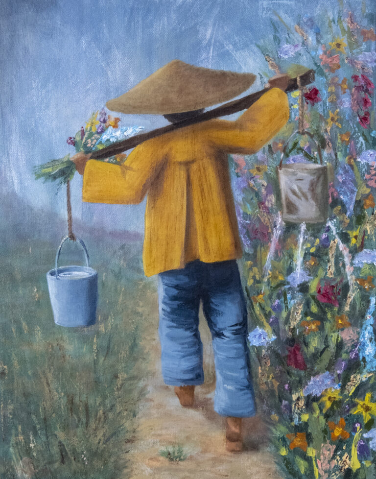 portfolio 6